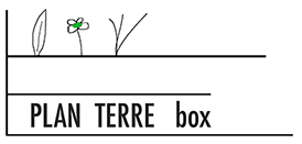 Plan Terre - box